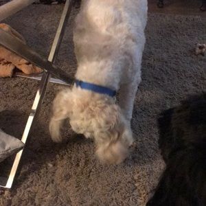 Meet your Posher, Bethany